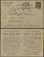 Let DESTINATIONS - Let  N°89 Obl. BORDEAUX 20/3/94 Sur CP Pour KALATEN (Indes Néerlandaises), Transit Batavia Et Semaran - 1849-1876: Période Classique