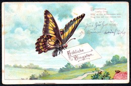 A7141 - Alte Litho Präge Glückwunschkarte - Schmetterling Pfauenauge - Pentecostés