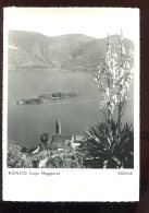 CPM Non écrite Suisse RONCO Lago Maggiore - Ronco Sopra Ascona