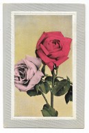ROSE  IN CORNICE - VIAGGIATA 1915 FP - Flowers