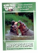 Cpm - Animaux - Hippopotame - Hippopotames - - Hippopotames