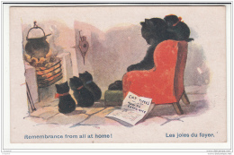 Illustrateur - Non Signe - Joies Du Foyer - Cinq Chats Devant Un Feu - 1900-1949