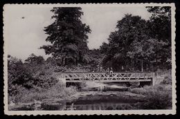 RIJMENAM - BRUG HOLLAEKEN - PONT - Bonheiden