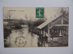 60 SONGEONS Le Lavoir Laveuse Lavendière Animée Unique Sur Le Site - Songeons