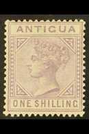 5124 ANTIGUA & BARBUDA - Other & Unclassified