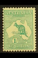 5263 AUSTRALIA - Other & Unclassified