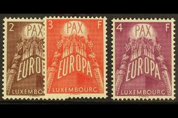 6882 LUXEMBOURG - Altri & Non Classificati