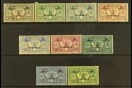 7145 NEW HEBRIDES - Altri & Non Classificati