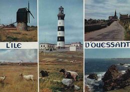 Delcampe - CPSM  Ile D'ouessant - Ouessant