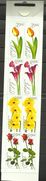 Iceland 2005 - Flowers, MNH - Booklets