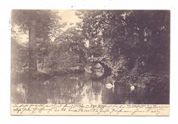 B 1180 BRUSSEL - UKKEL / UCCLE, Parc Allard, NELS, Brux. Serie 11, No. 808 - Uccle - Ukkel