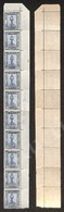 0494 1924/1929 - Striscia Di Dieci (intero Angolo Di Foglio) Del 25 Cent Pittorica (49zg) Con Filigrana Lettere 12/10 Su - Autres & Non Classés