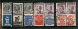 0685 REGNO - 1924/1925 - Pubblicitari - Cartoncino Con 7 Valori - Da Esaminare - Other & Unclassified