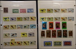 0823 BRITISH HONDURAS - 1960/1972 - Piccola Collezione Con Alcune Serie Complete Del Periodo In 3 Fogli Primato - Da Esa - Autres & Non Classés