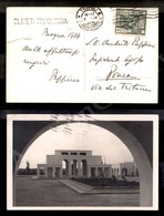 1158 Oliveti Tripolitania - Cartolina Affrancata (40) Annullata In Transito A Tripoli Il 7.4.39 - Autres & Non Classés