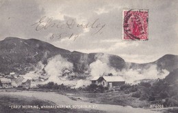 "EARLY MORNING, WHAKAREWAREWA, ROTORUA, N.Z."  N° 6008. Carte RARE - Nouvelle-Zélande