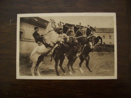 Carte Postale Ancienne De Saumur: Ecole De Cavalerie - Courbette - Saumur