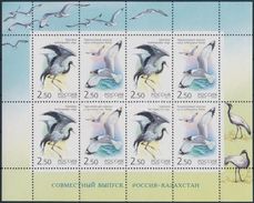 Russia 2002 Sheetlet Kazakhstan Joint Issues Birds Crane Cranes Gull Bird Animal Fauna Stamps MNH Mi 1008-1009 Sc 6709 - Verzamelingen