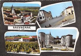 81-SALVAGNAC- MULTIVUES - Salvagnac
