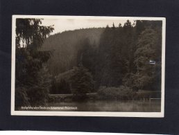 72732   Germania,  Knopfelstaler Teich  Im  Schortetal,  Thur. Wald.,  VG  1929 - Ilmenau