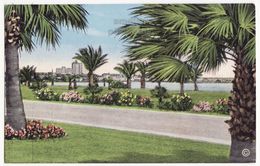 Corpus Christi TX, Ocean Drive Scene C1940s Vintage Unused Texas Postcard M8536 - Corpus Christi