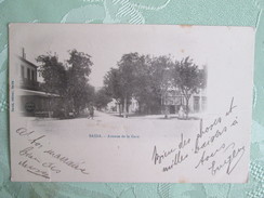 Saida ;  Avenue De La Gare ; 1903 - Saïda