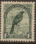 NZ 1935 1/- Tui SG 567 UNHM #ABP24 - Ungebraucht