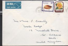 3183  Carta  Aérea  Tauranga  1979 Nueza Zelanda - Lettres & Documents