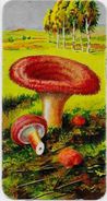 Chromo Champignon Mushroom Gaufré 11 X 6 Texte Explicatif Au Dos - Other & Unclassified