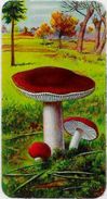 Chromo Champignon Mushroom Gaufré 11 X 6 Texte Explicatif Au Dos - Other & Unclassified