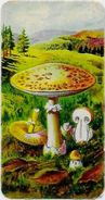 Chromo Champignon Mushroom Gaufré 11 X 6 Texte Explicatif Au Dos - Other & Unclassified