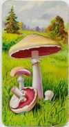 Chromo Champignon Mushroom Gaufré 11 X 6 Texte Explicatif Au Dos - Other & Unclassified