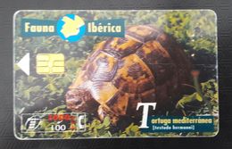 SPAIN Turtles  Chip Phonecard - Schildpadden