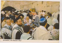 ISRAEL,TERRE SAINTE POUR LES JUIFS ,JUDAICA,JUDAISME,JERUSALEM,HOSHANA RABBA - Israel