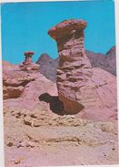 ISRAEL,TERRE SAINTE POUR LES JUIFS ,JUDAICA,JUDAISME,PRES EILAT,WADI AMRAM - Israel