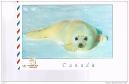 CANADA ENTERO POSTAL BEBE FOCA MAMIFERO PIEL NATURALEZA ECOLOGIA MAR POLO NORTE - Arctic Wildlife