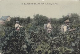 CPA La Vie Au Grand Air, Le Sulfatage Des Vignes (pk39224) - Vignes