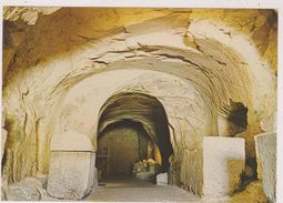 ISRAEL,TERRE SAINTE POUR LES JUIFS ,JUDAICA,JUDAISME,BETH SHEARIM,EX CIMETIERE,EX SYNAGOGUE,GROTTE DU SANHEDRIN - Israel