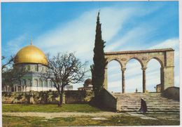 ISRAEL,JERUSALEM,OMAR,MOSQUEE,MOSQUE,TEMPLE - Israël