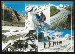 KONKORDIAHÜTTE VS Aletschgletscher Glacier Fiesch 2002 - Fiesch