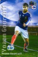 Magnet Magnets Football Carrefour Equipe France En Relief Yoann Gourcuff - Sports