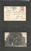 German Col-East Africa. 1908 (15 April) Udjidji - France, Saint Die (11 June) Fkd Mango Tree View Ppc. VF Used. - Autres & Non Classés