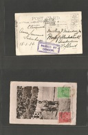 Australia. 1916 (18 Jan) Claremont - Netherlands, Amsterdam. Reverse Fkd Ppc + Censor Cachet Local Buggies + Cangaroo Ca - Autres & Non Classés