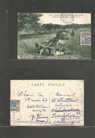 Frc - Senegal. 1927 (1 May) St. Louis - Germany, Frankfurt. Fkd Photo Card. Military Preparation. - Other & Unclassified