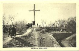 Croix Du Mont Thou - Saint-André-la-Côte