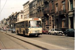 Bruxelles (1030) : L'ancien Autobus 51 Longeant Les Voies Du Tram Aux Environs De La Gare Du Nord. Carte-Photo Rare. - Transport Urbain En Surface