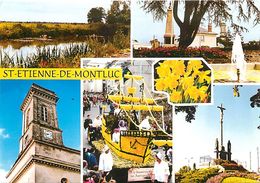 PIE 17-E-7807 : SAINT ETIENNE DE MONTLUC - Saint Etienne De Montluc