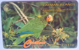 Cayman Islands 11CCIB $10 Parrot - Islas Caimán