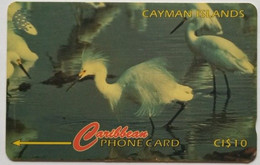 Cayman Islands 13CCIC Snowy Egret CI $10 - Cayman Islands