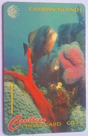 Cayman Islands 64CCIB CI$15 Underwater - Kaaimaneilanden